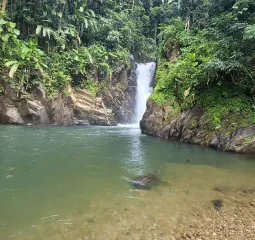 Dillon n Sophia's Countryside Tours.